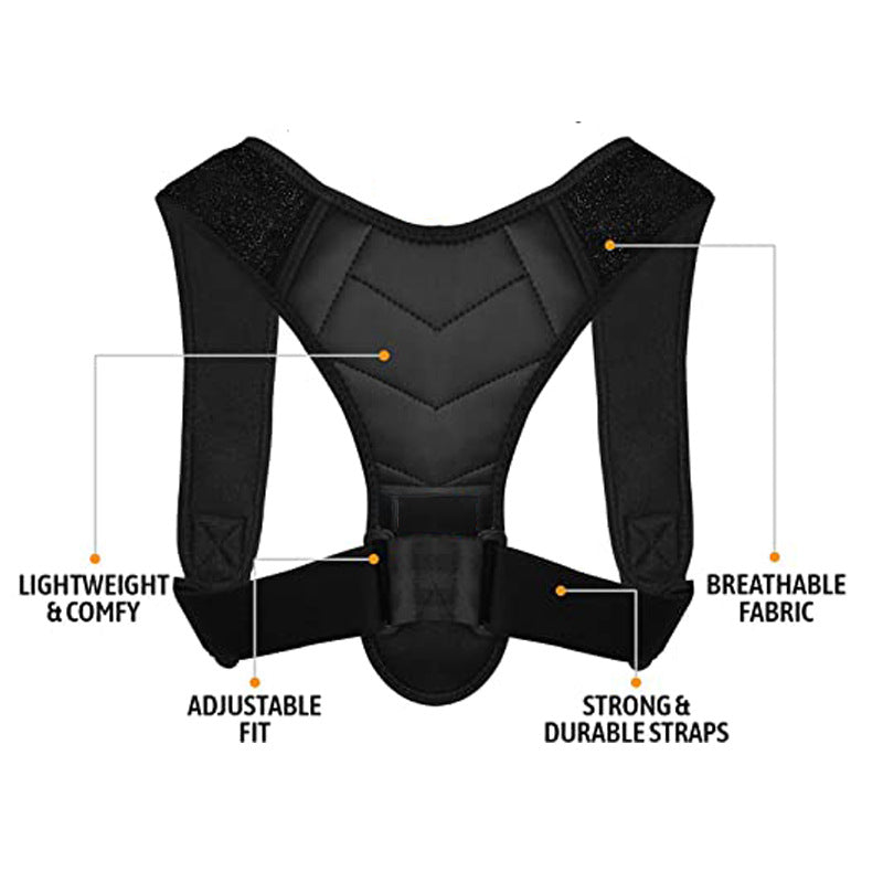 Posture Corrector Belt